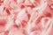 White fluffy bird feathers on pink background,