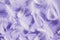 White fluffy bird feathers on purple