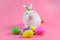 White fluffy bunny sitting on clean pink background and colorful egg, little white rabbit