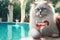 A white fluffy cat in a sunglasses sitting near swimming pool with a cocktail near him. Created with Generative AI