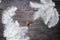 White fluffy ostrich feathers lie around on a wooden texture background