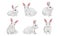 White Fluffy Rabbit in Different Poses Vector Set