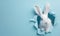 white fluffy rabbit popped out of a hole in the paper background, Easter greeting