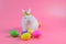 White fluffy rabbit wears a golden crown sitting on pink background and colourful egg