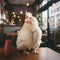 a white fluffy rooster on a table in a cafe