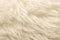 White fluffy wool texture, natural wool background, fur texture close-up for designers, light long fur anima