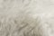 White fluffy wool texture, natural wool background, fur texture close-up for designers, light long fur anima