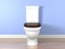 White flush toilet in a bathroom