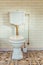 White flush toilet in modern