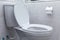 White flush toilet in modern bathroom