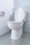 white flush toilet in modern bathroom