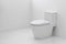 White flush toilet in white bathroom
