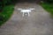 White flying quadrocopter with camera on green forest background