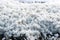 White foam accumulations on the shore near the water surface texture background, foam aggregates, scum, river froth, cumulus foam