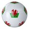 White football ball with flag of Wales on a white background. Isolated. Leather soccer ball. Classic ball with patches. Flags of