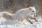 A white fox energetically running through deep snow in an Arctic landscape