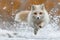 A white fox is energetically running through the snow in an arctic landscape