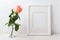 White frame mockup with creamy pink rose in glass vase