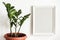 White frame Mockup and potted plant Zamioculcas