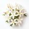 White Frangipani Bouquet: Subtle Tonal Values And Intertwining Materials