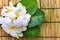 white frangipani flowers bouquet and green leaves with fresh water dew on bamboo mat textured background use for beautiful nature