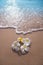 White frangipani plumeria flowers on sand at the beach front of the ocean waves background