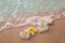 White frangipani plumeria flowers on sand at the beach front of the ocean waves background