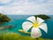 White frangipani (plumeria) flowers on sea island at phuket Thailand as background