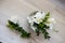 White freesia flowers
