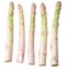 White fresh asparagus sprouts white background