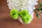 White Fresh Flowers Crisanthemum Close Up. Copy space for text. High resolution beautiful flowers bouquet.