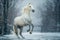 white Friesian stallion galloping field