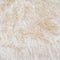 White fur of polar bear texture