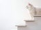 white furry cat stands on the steps of the white staircase