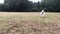 White furry puppy running across a green field