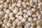 White garlic pile texture