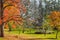 White Gazebo in Fall Forest with Yellow Trees