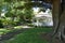 White Gazebo And Lonely Branch In A Park 2