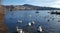 White geese in front of Kastoria town at the Orestiada lake in Greece