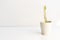 White ghost candle stick tree Euphorbia lactea plant isolated on a white background