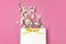 White gift bag with gold ribbon, bottle of perfume, spring white flowers on bright pink background. Greeting card with delicate