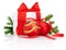 White gift box tied with Red ribbon, decorations Christmas ball and fir tree branch Isolated