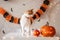 White ginger cat stands on table next to pumpkin lantern against the backdrop Halloween decorations