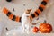 White ginger cat stands on table next to pumpkin lantern against the backdrop Halloween decorations