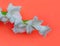 White gladiolus flower on background, minimal floral concept, simple modern, isolated flower