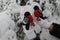 White gloves with bullfinches on a snow-covered tree background