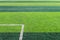 White Goal Line of Football Field