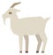 White goat icon. Polygonal long horn animal