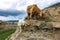 White goat and sheep in the Khunzakh Valley on the rocks, Khunzakh waterfalls, Dagestan 2021