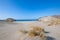 White goats grazing near Monsul Beach in Cabo de Gata Almeria